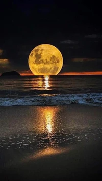 Golden Moonrise Over Serene Ocean Waves