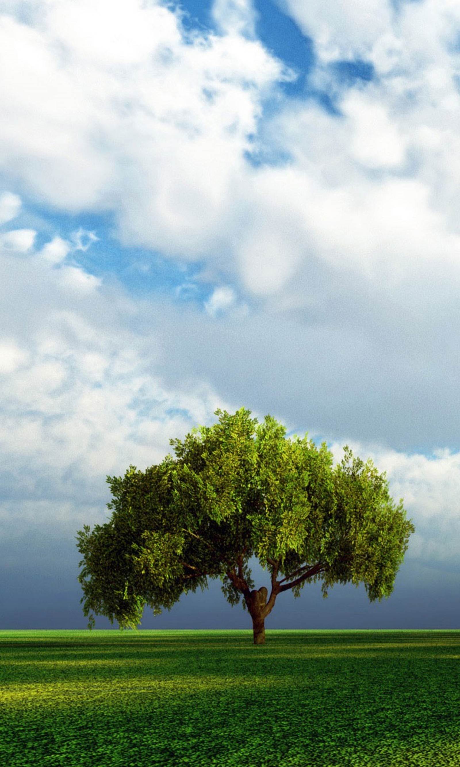 Há uma árvore solitária em um campo com um céu nublado (incrível, azul, nuvens, campos, grassy)