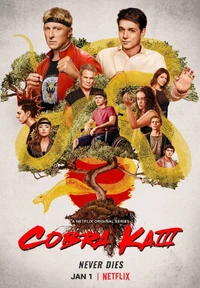 кобра кай, cobra kai, карате, netflix