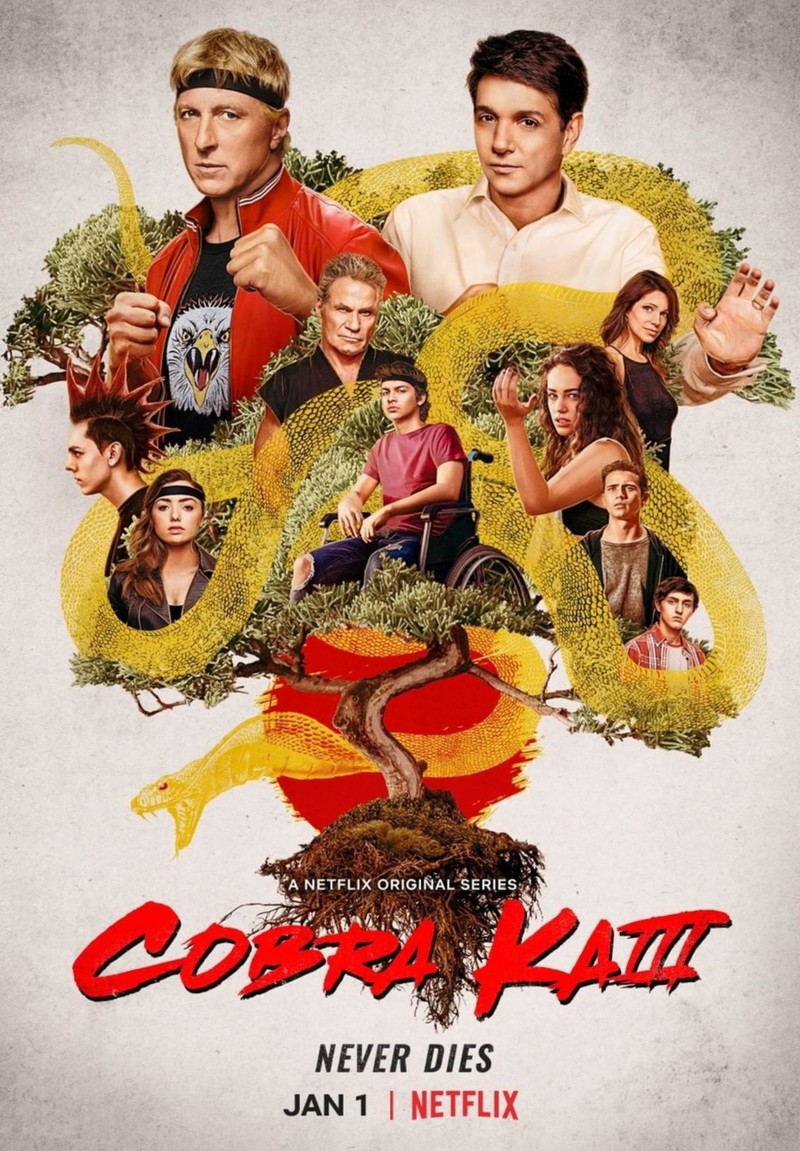 Постер к фильму 'кобра кай' (кобра кай, cobra kai, карате, netflix)