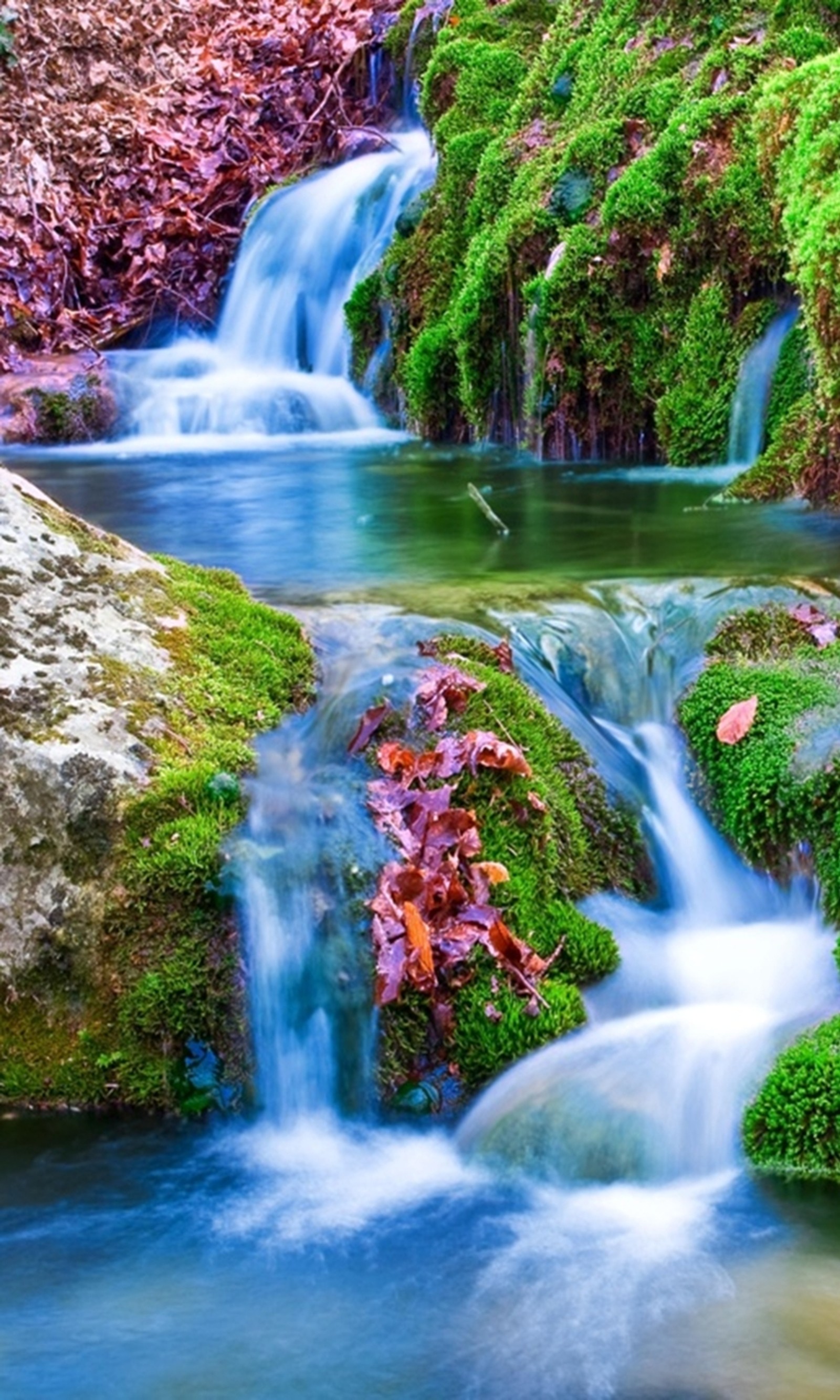 Un primer plano de una cascada con musgo y hojas en las rocas (colorido, hd, naturaleza, nuevo, rocas)