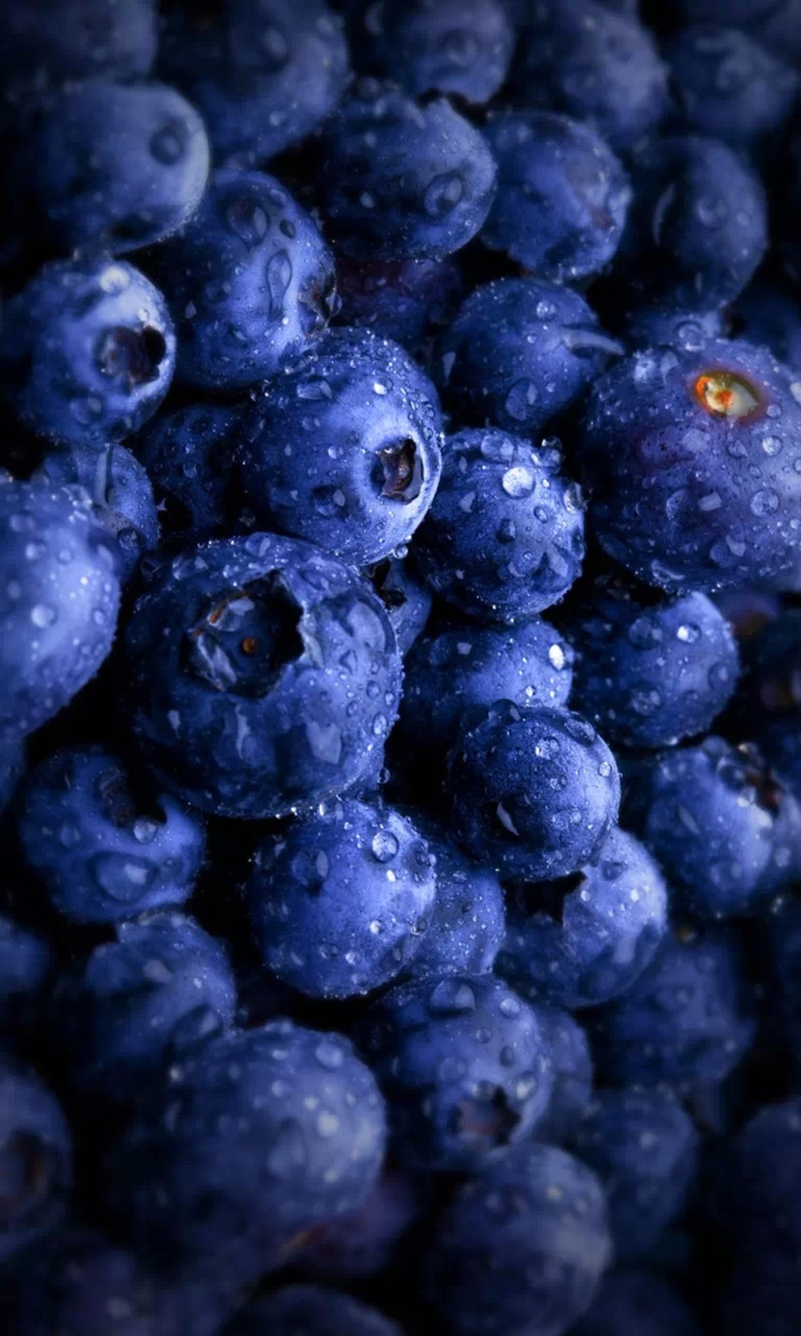 Lade blaubeeren, frucht, natur Hintergrund herunter