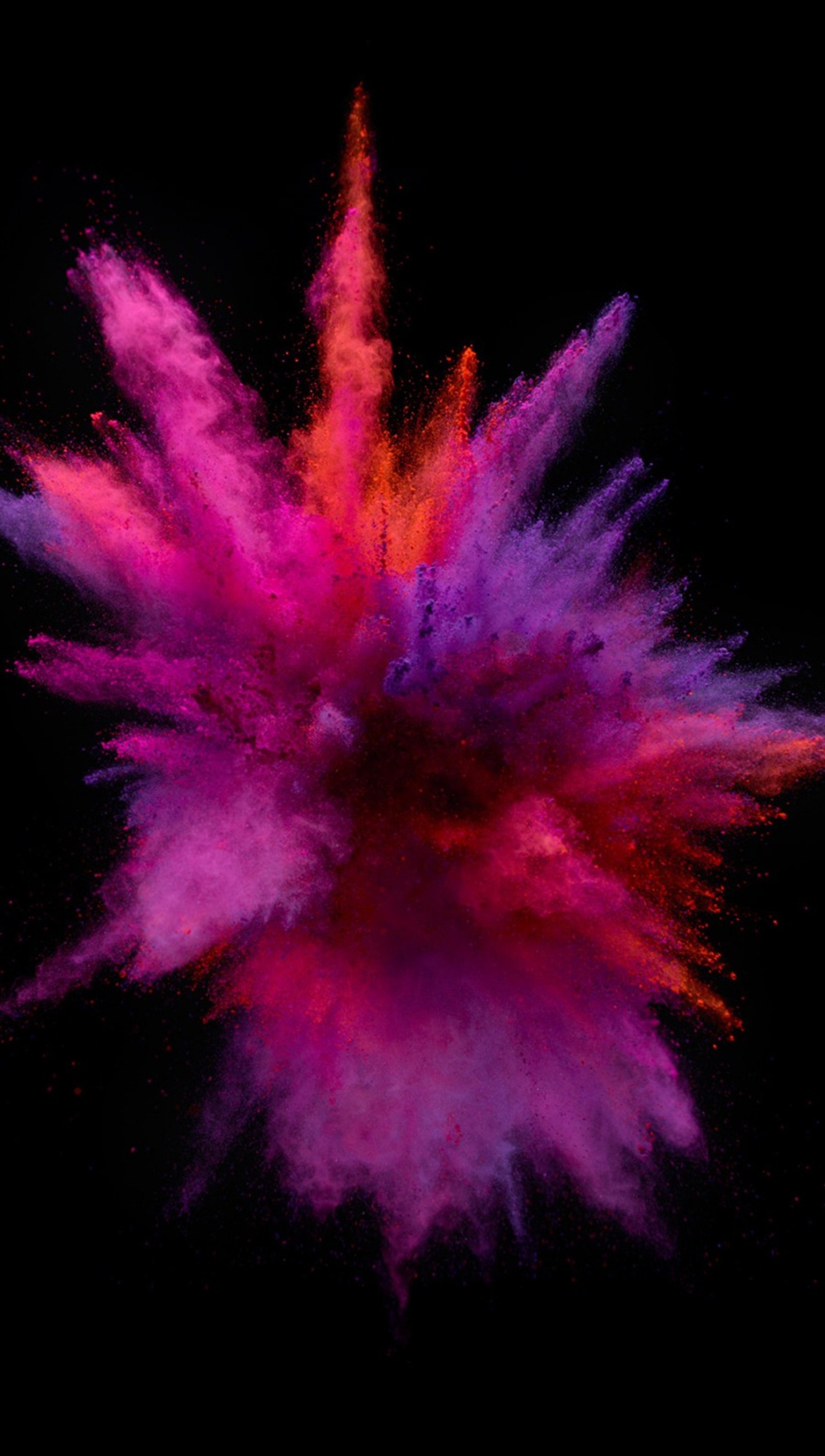 A close up of a pink and purple powder explosion on a black background (colorful splash, colors, explosion, splash)