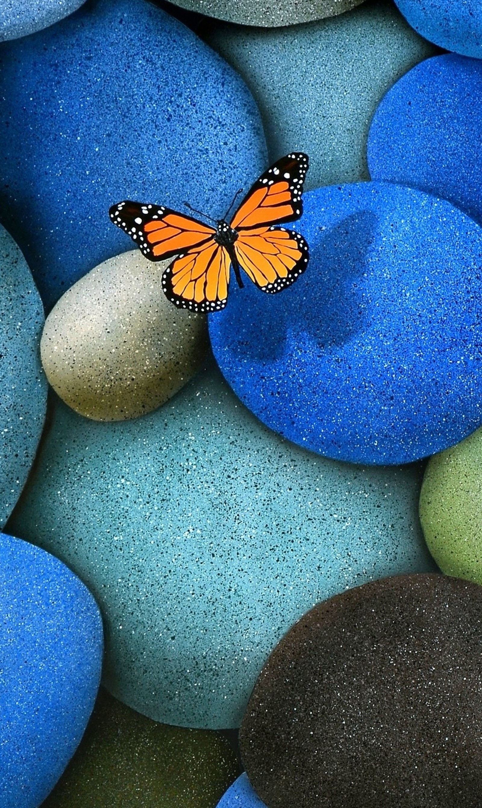 Es gibt einen schmetterling, der auf steinen sitzt (schmetterling, farben, hd)