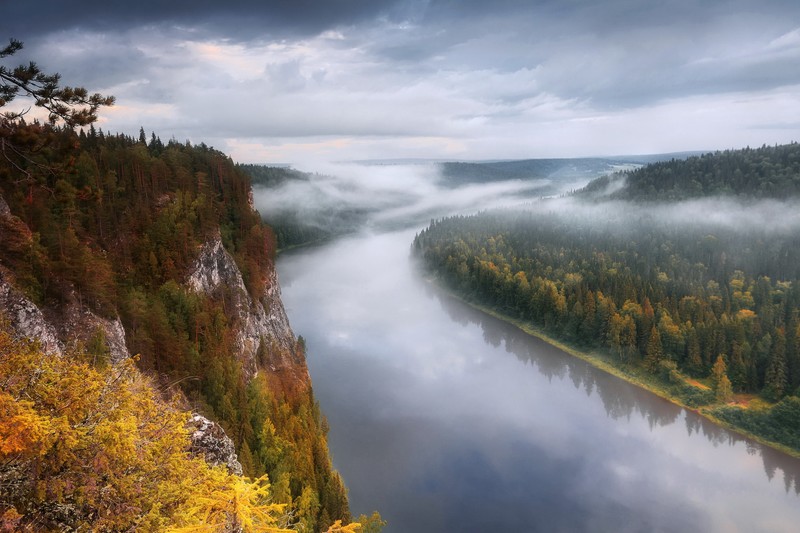 Арабский вид реки с туманным лесом на заднем плане (река, природа, вода, водные ресурсы, дикая природа)