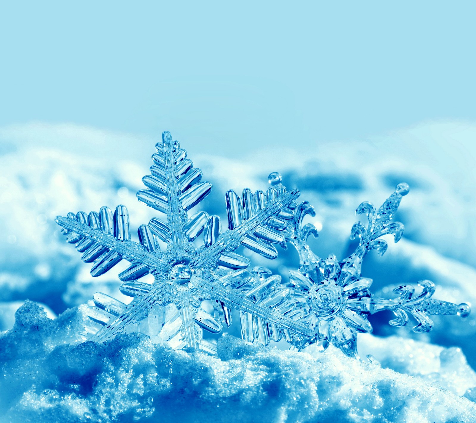 Snowflake on a pile of snow with a blue sky in the background (blue, snow, snowflake, winter)