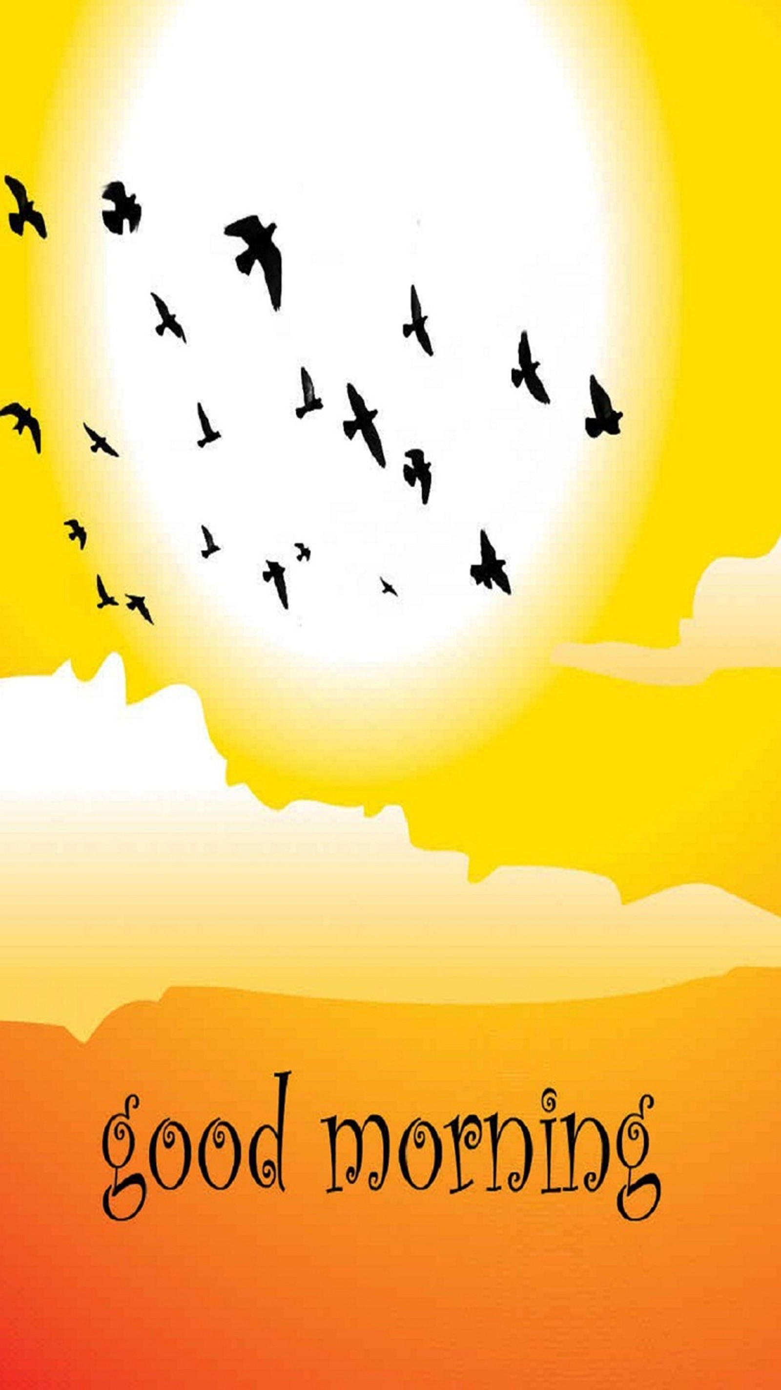 There are many birds flying in the sky at sunset (birds, clouds, good, good morning, hd)