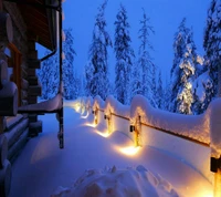 lights, winter