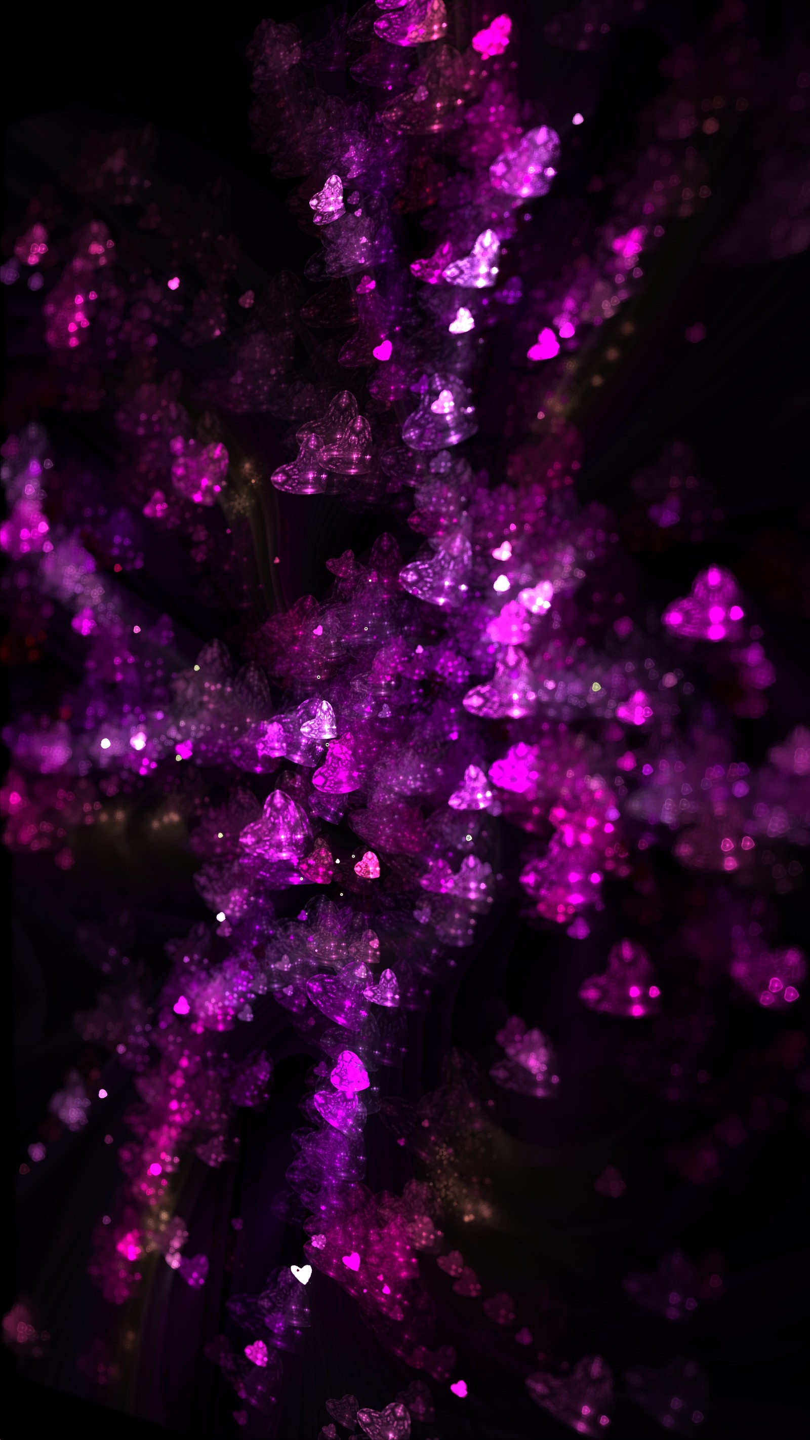 Purple flowers are lit up in the dark with a black background (violet, purple, pink, magenta, fractal art)