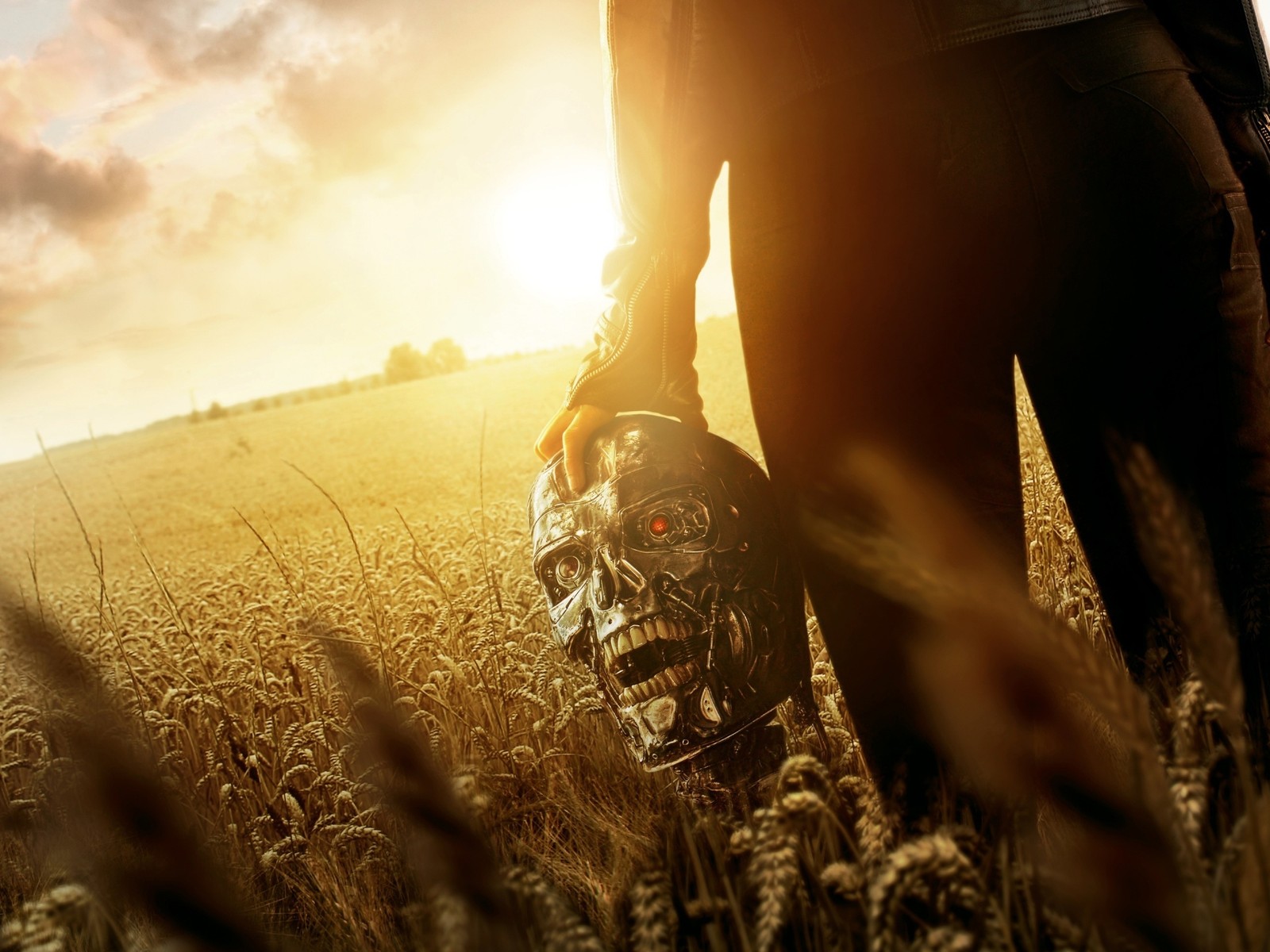 Un hombre caminando por un campo con una bolsa (cartel, el exterminador, the terminator, cartel de película, terminador)