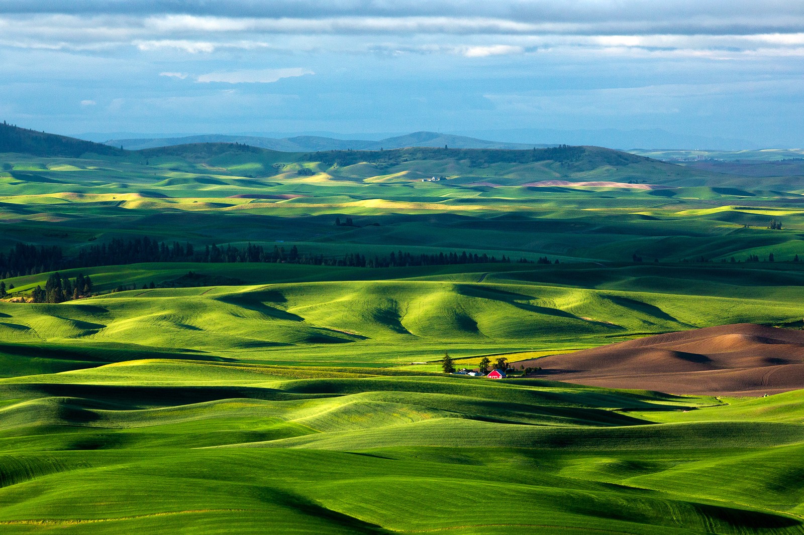 A view of a green field with a few trees in the distance (plain, grassland, nature, hill, highland)