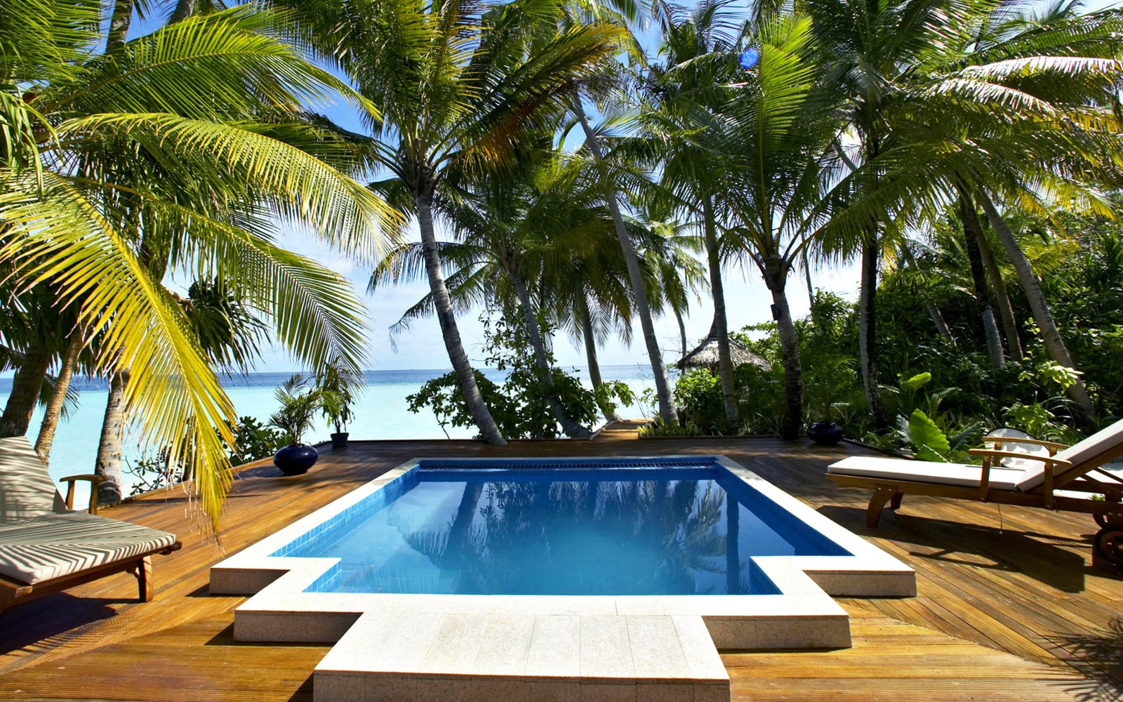 Une vue sur une piscine avec des chaises longues et des palmiers (station, piscine, propriété, palmier, immobilier)