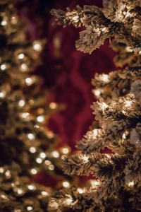 Ramas de árbol de Navidad brillantes con luces cálidas