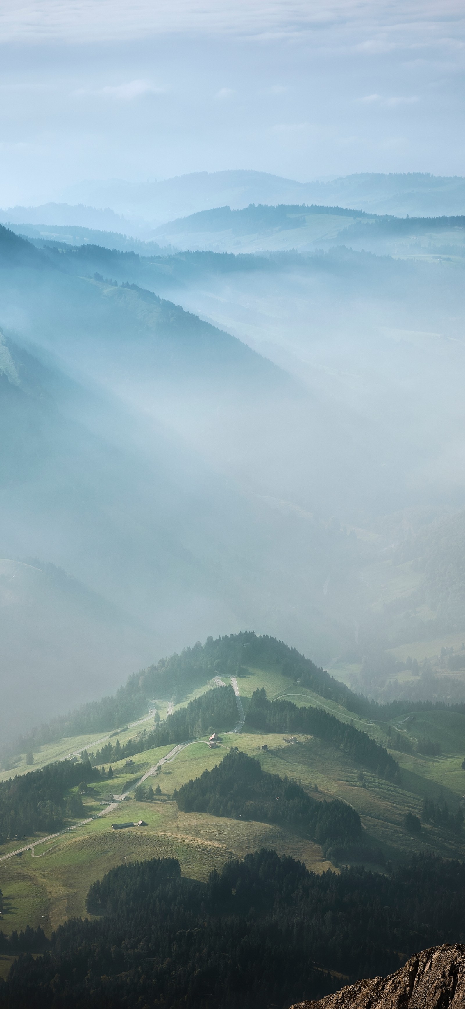 Girafas em pé no topo de uma montanha com vista para um vale (terras altas, montanha, atmosfera, ecorregião, natureza)