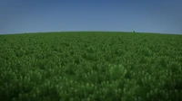 A vast green grassland in a Minecraft setting, featuring a lone creeper amidst dense vegetation under a clear blue sky.