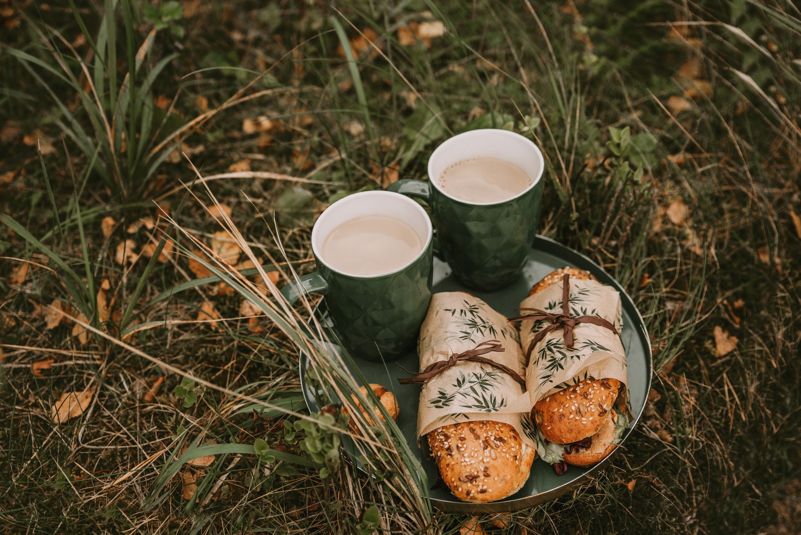 Il y a deux tasses de café et une assiette de nourriture par terre (tasse à café, plante, vaisselle, pique nique, petit déjeuner)