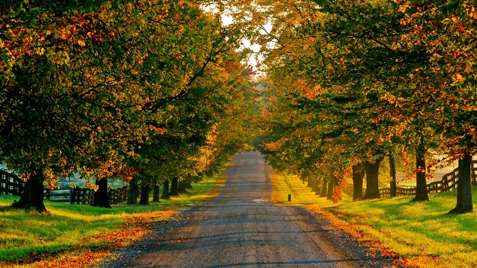 Lade landschaft, baum, natur, blatt, herbst Hintergrund herunter