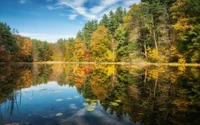 reflection, nature, water, wilderness, leaves wallpaper