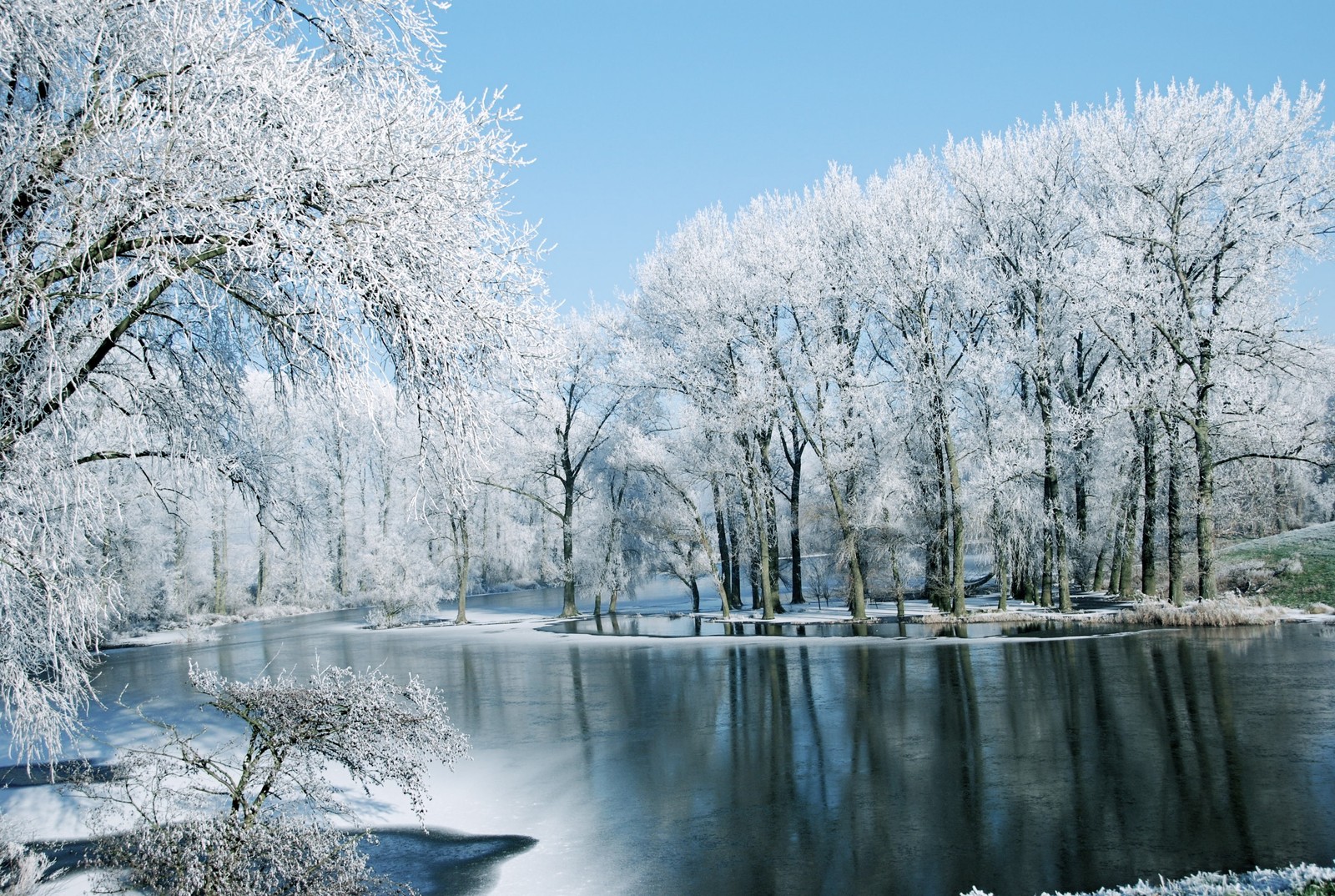 winter, nature, snow, tree, water Download Wallpaper