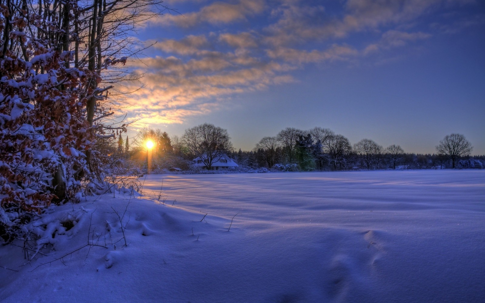 A view of a snowy field with a sun setting in the background (sunset, snow, nature, winter, freezing)