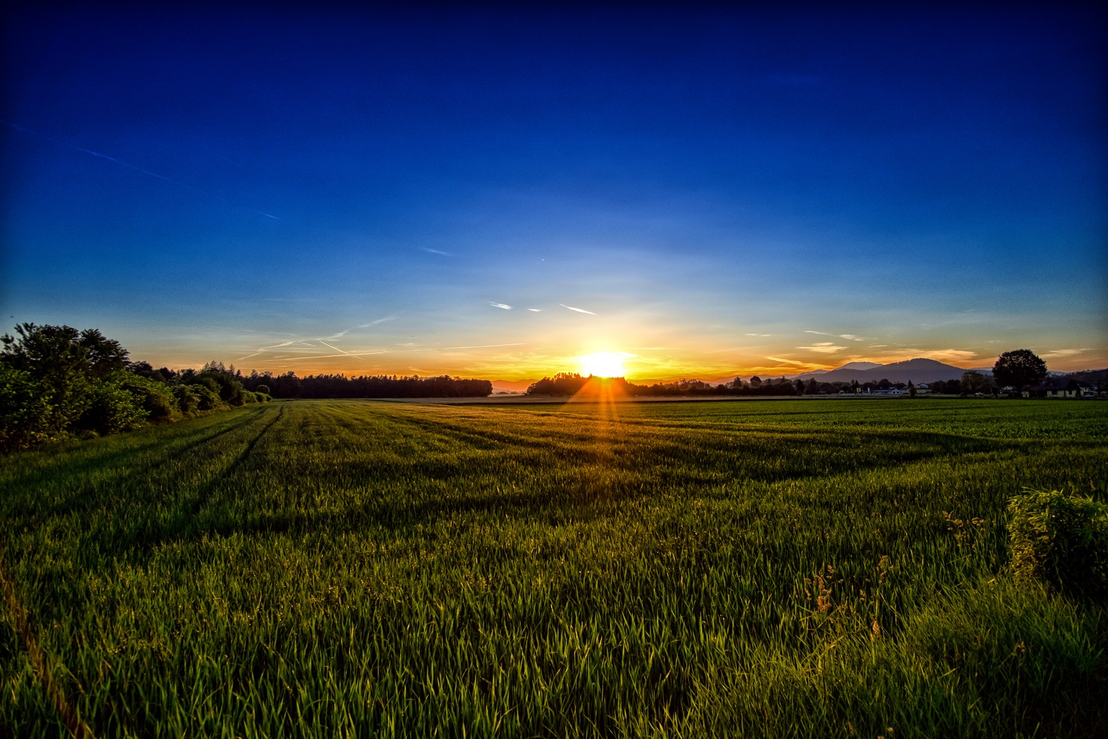 Una vista de un campo con un atardecer de fondo. (paisaje natural, naturaleza, horizonte, amanecer, campo)