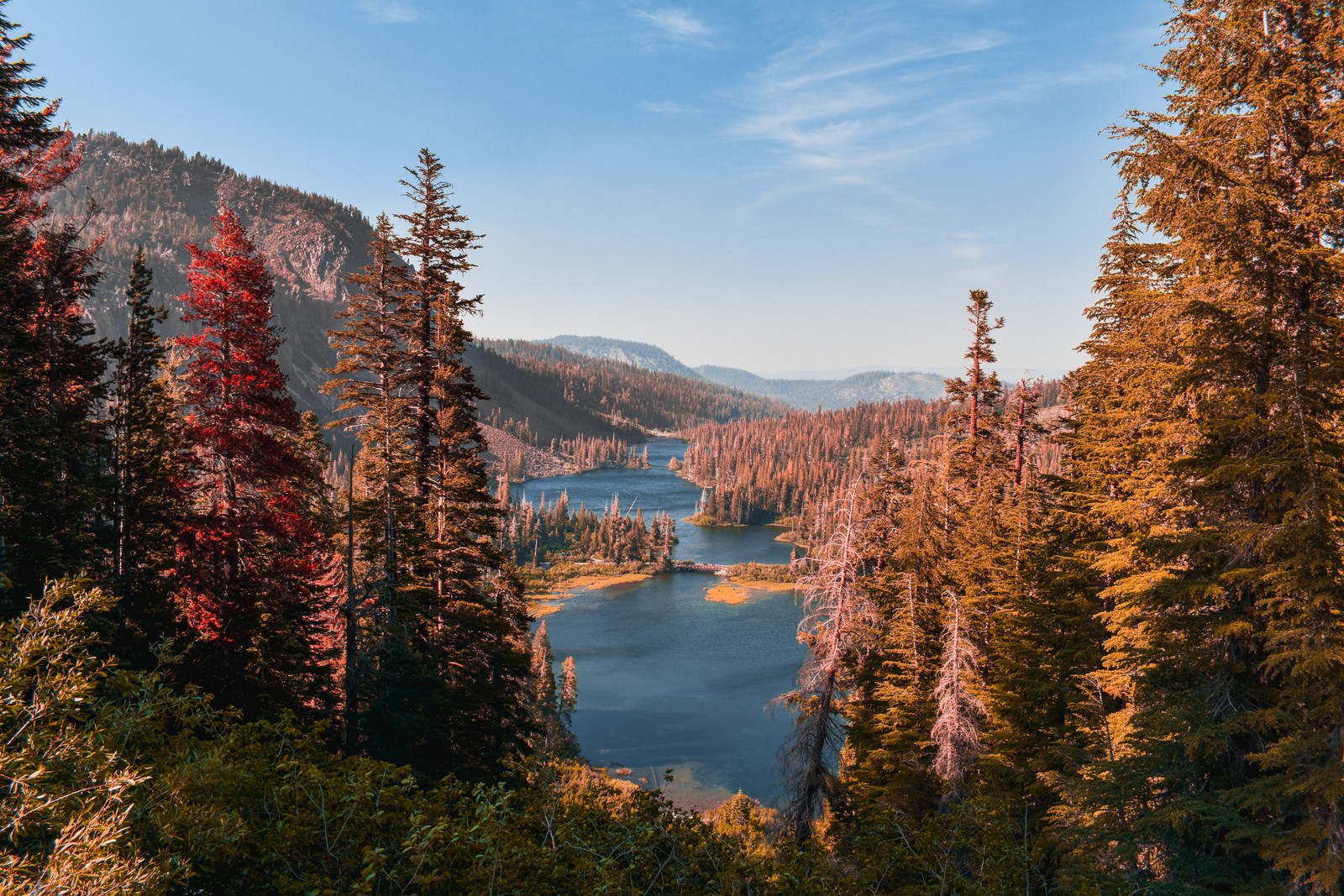 Vista de um lago cercado por árvores e montanhas (wild, árvore, deserto, paisagem natural, arte)