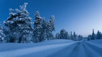 Paysage d'hiver serein au coucher du soleil avec des arbres couverts de neige et une route de montagne