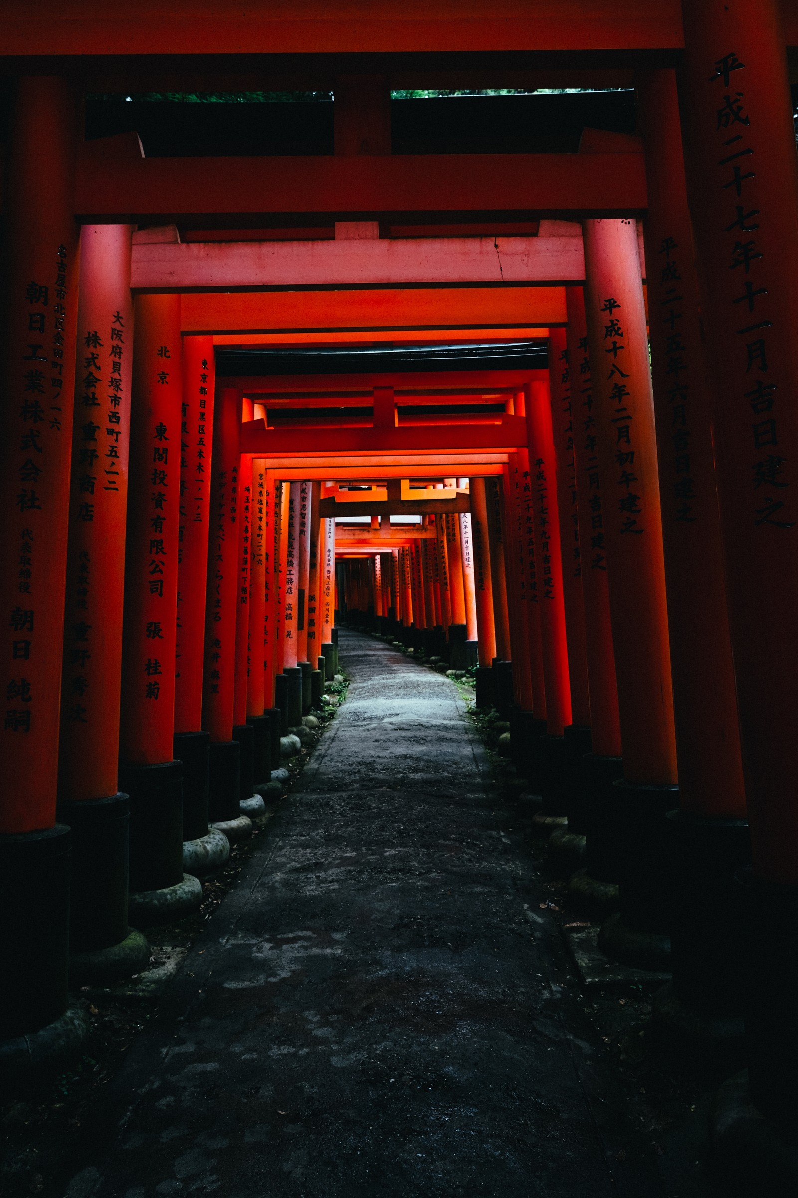 Lade torii, rot, schrein, gasse, gebäude Hintergrund herunter