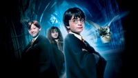 Harry Potter, Hermione Granger et Ron Weasley : Un voyage magique commence