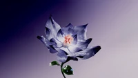 Vibrant Digital Lotus Flower on Purple Background