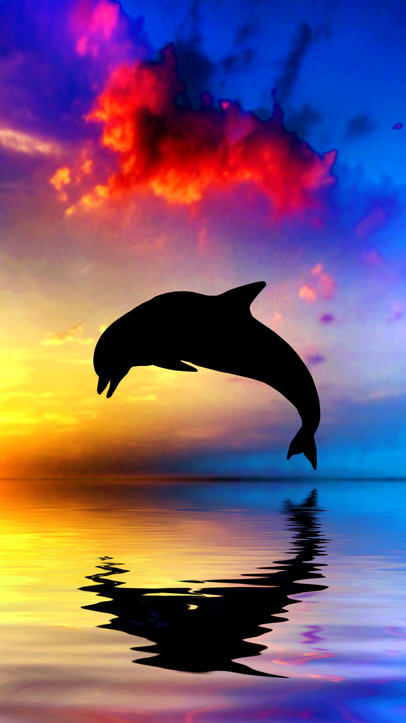 Dolphin jumping out of the water at sunset with colorful clouds (dauphin, dolphin)