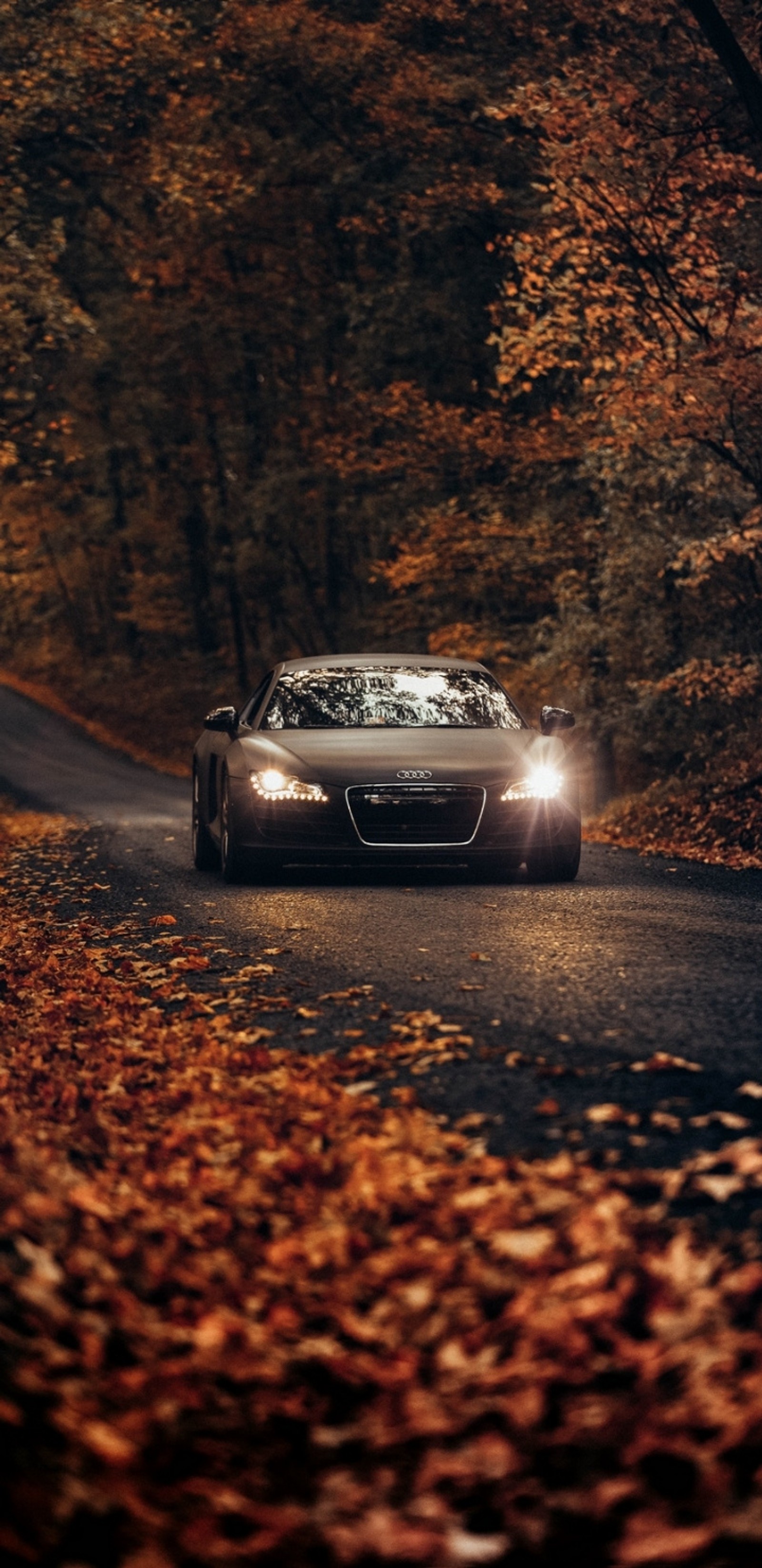 Téléchargez le fond d'écran voiture, rover, audi