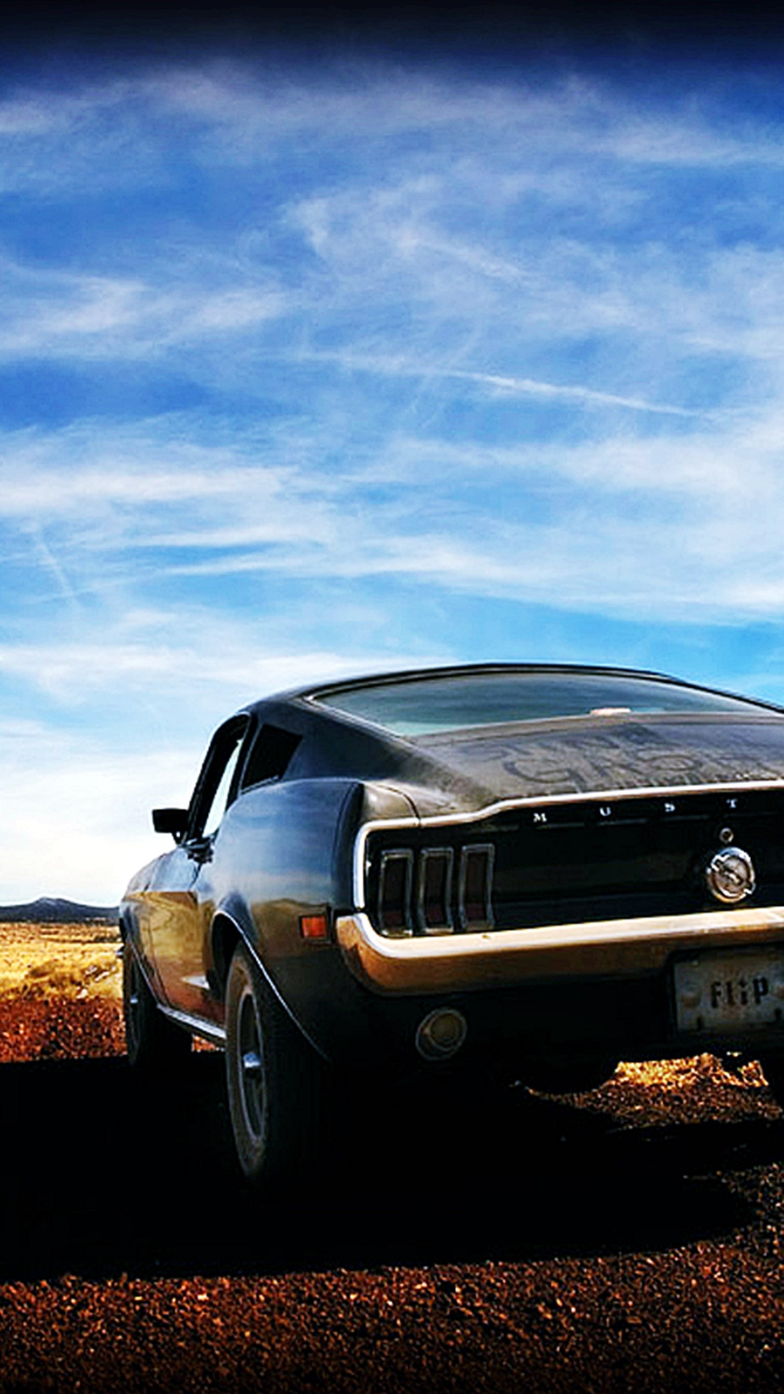 There is a car that is parked in the dirt (ford, mustang)