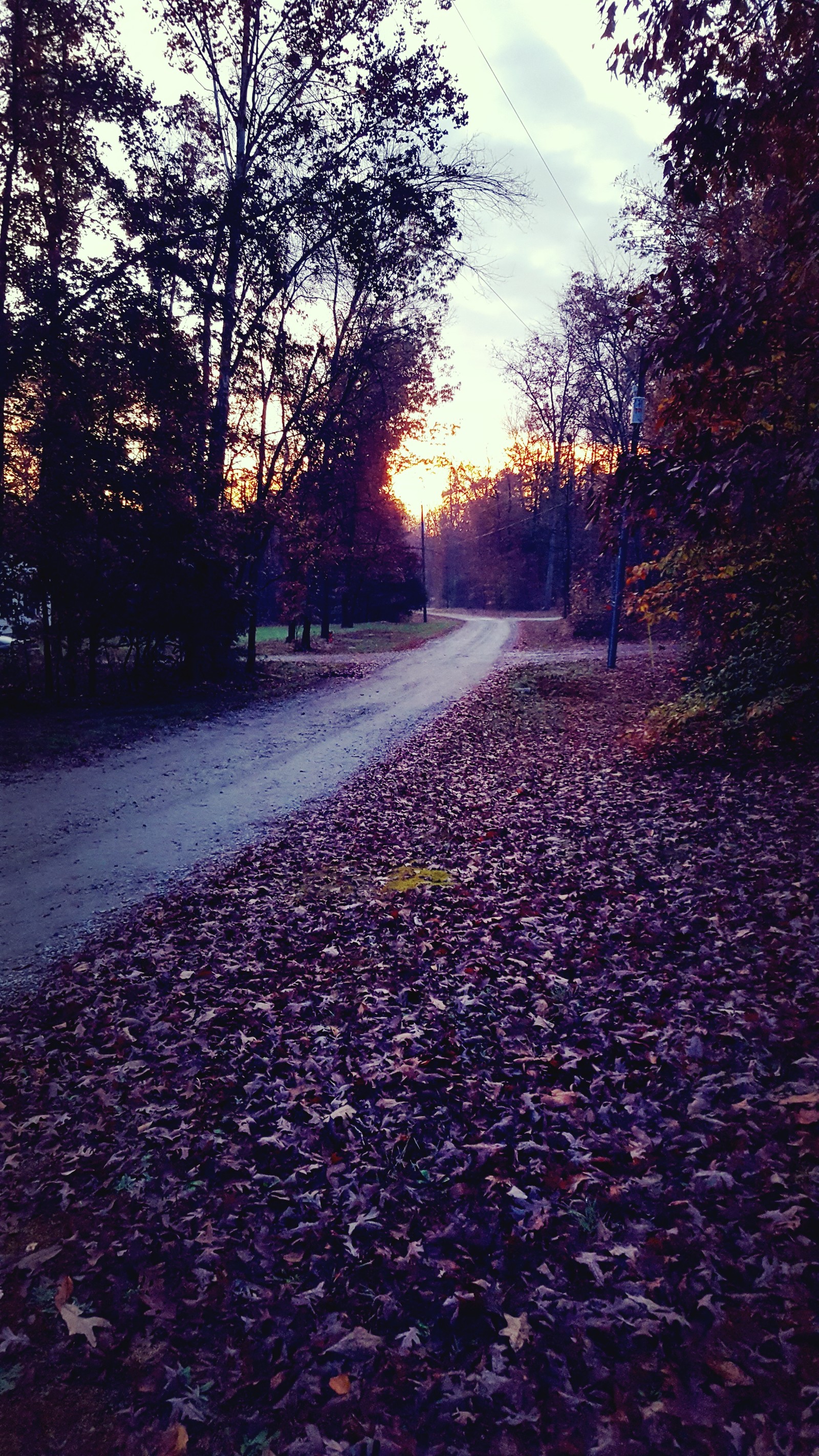 autumn, day, road Download Wallpaper