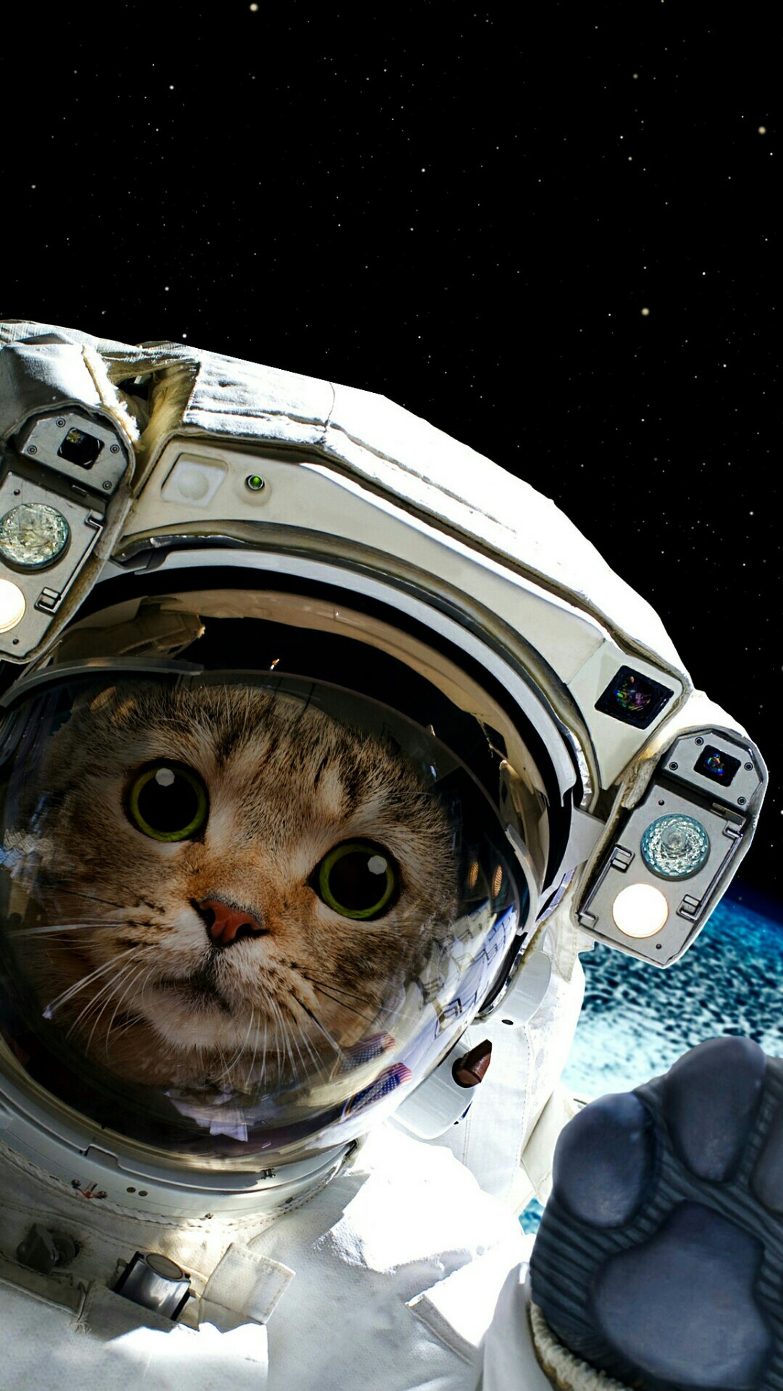 Araffe cat in a space suit looking out of a window (gato astronaut space, logo)