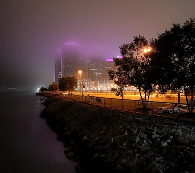 ville, fogy, nature, nuit