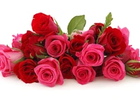 Vibrant Collection of Red and Pink Roses