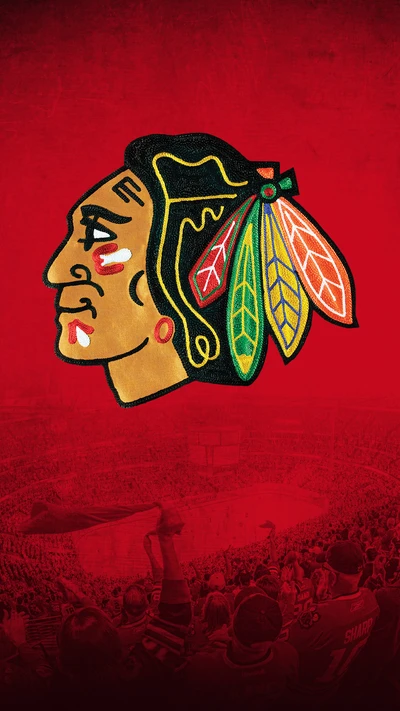 blackhawks, chicago, eishockey, illinois, nhl