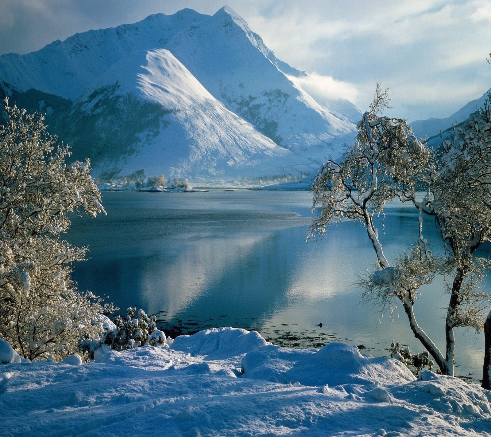 Verschneite berge und ein see mit bäumen im vordergrund (see, winter)