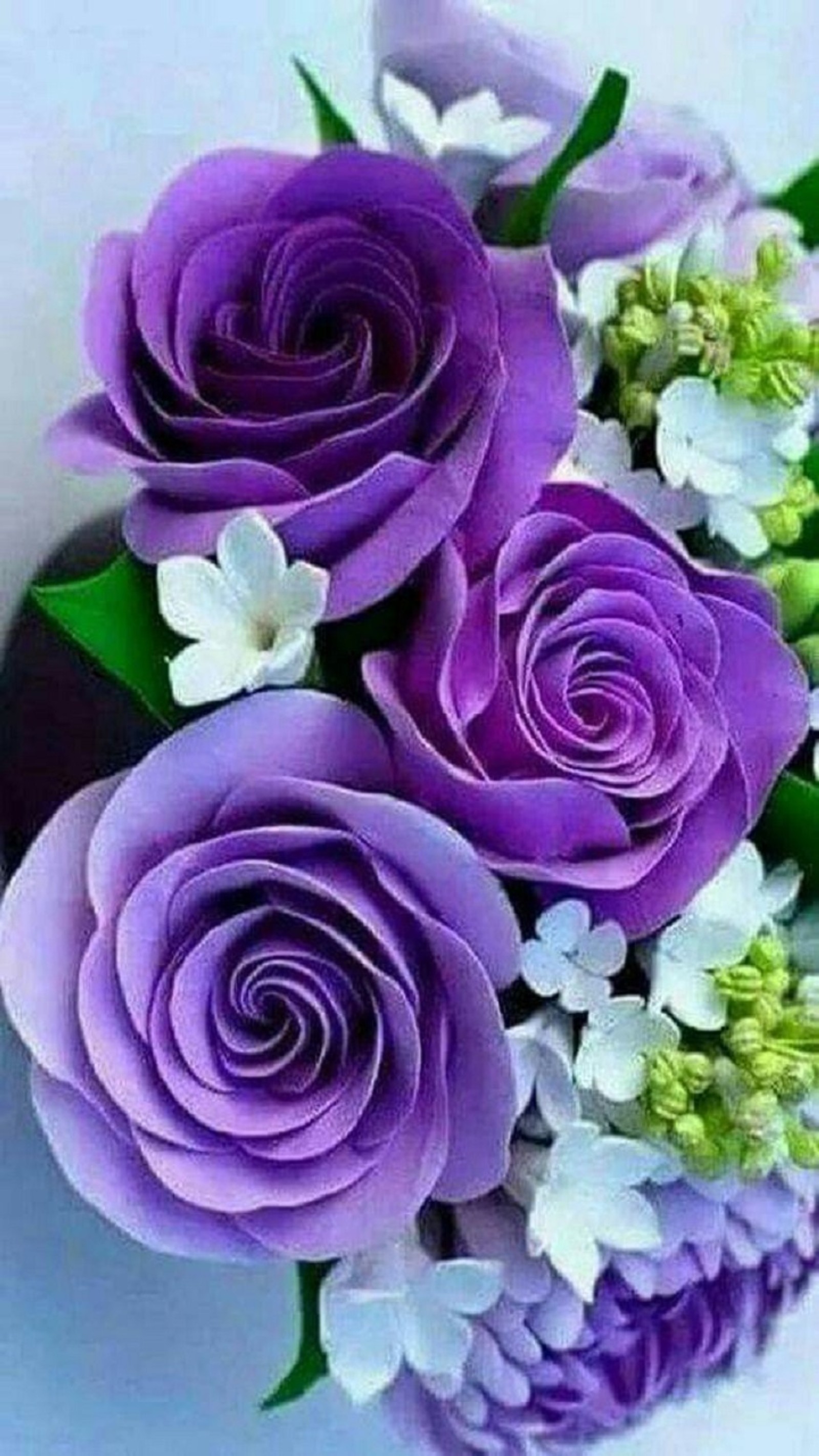 Des roses violettes et des fleurs blanches sont disposées en bouquet. (roses, violet)