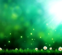 A vibrant green landscape illuminated by sunlight, featuring delicate daisies and a dreamy, sparkling atmosphere.