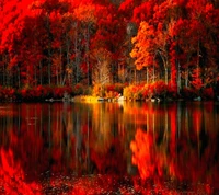 autumn, beautiful