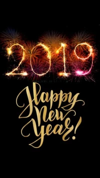 Happy New Year 2019: Celebrate Safely