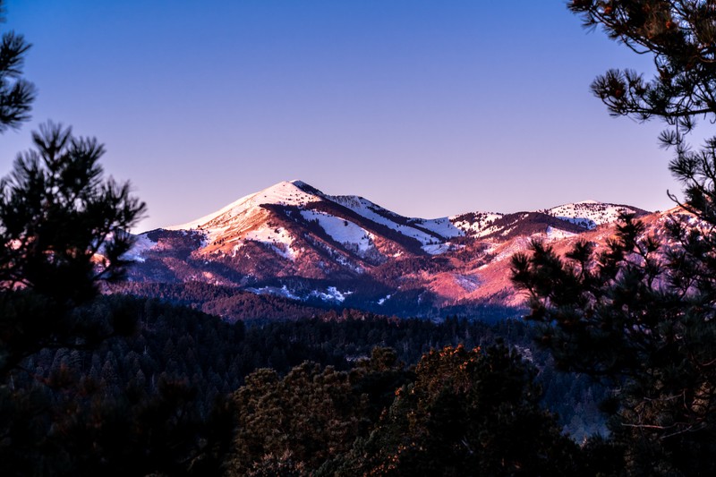 Горы со снегом на них и сосны на переднем плане (sierra blanca peak, ледниковые горы, нью мексико, рассвет, пейзаж)