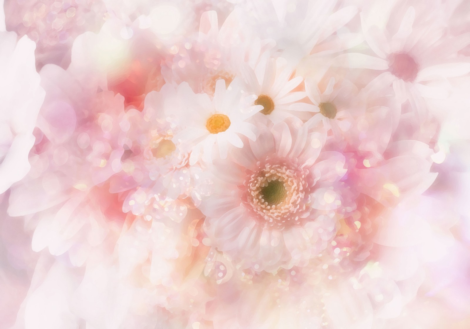 Beaucoup de fleurs blanches en bouquet sur une table (fleur, marguerite commune, rose, pétale, gerbera)