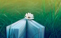 Open Book with White Flower on Green Meadow