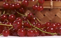 Fresh Red Currants in a Basket