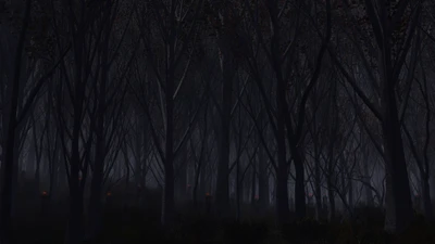 Bosque Oscuro Misterioso por la Noche