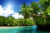 Tropical Lagoon Surrounded by Lush Vegetation and Palm Trees