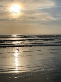 mer, marée, plage, plan deau, liquide